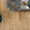 Tamiami Colorhunt Ceramic Tile for Remodeling
